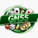 GN55 Game